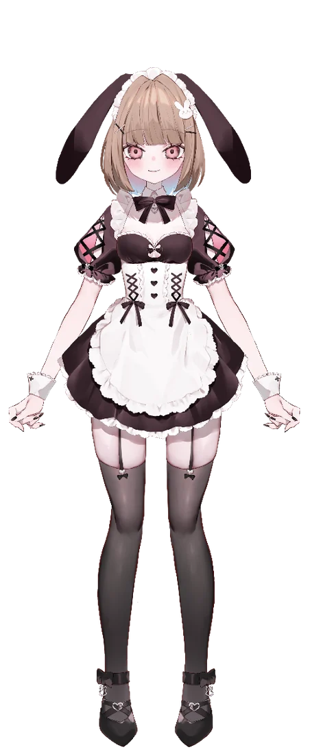 two-side maid outfit